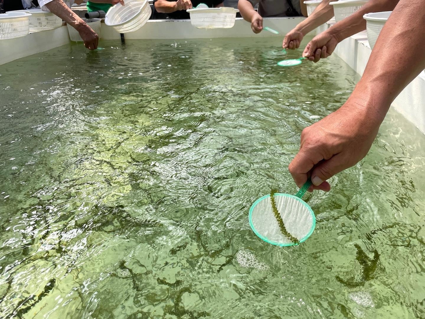 【牛角焼肉食堂】兵庫３店舗目！「つかしん店」5/26(月)オープン