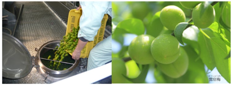 テーブルマークが第64回NHK杯体操にて、食育・体操教室を開催