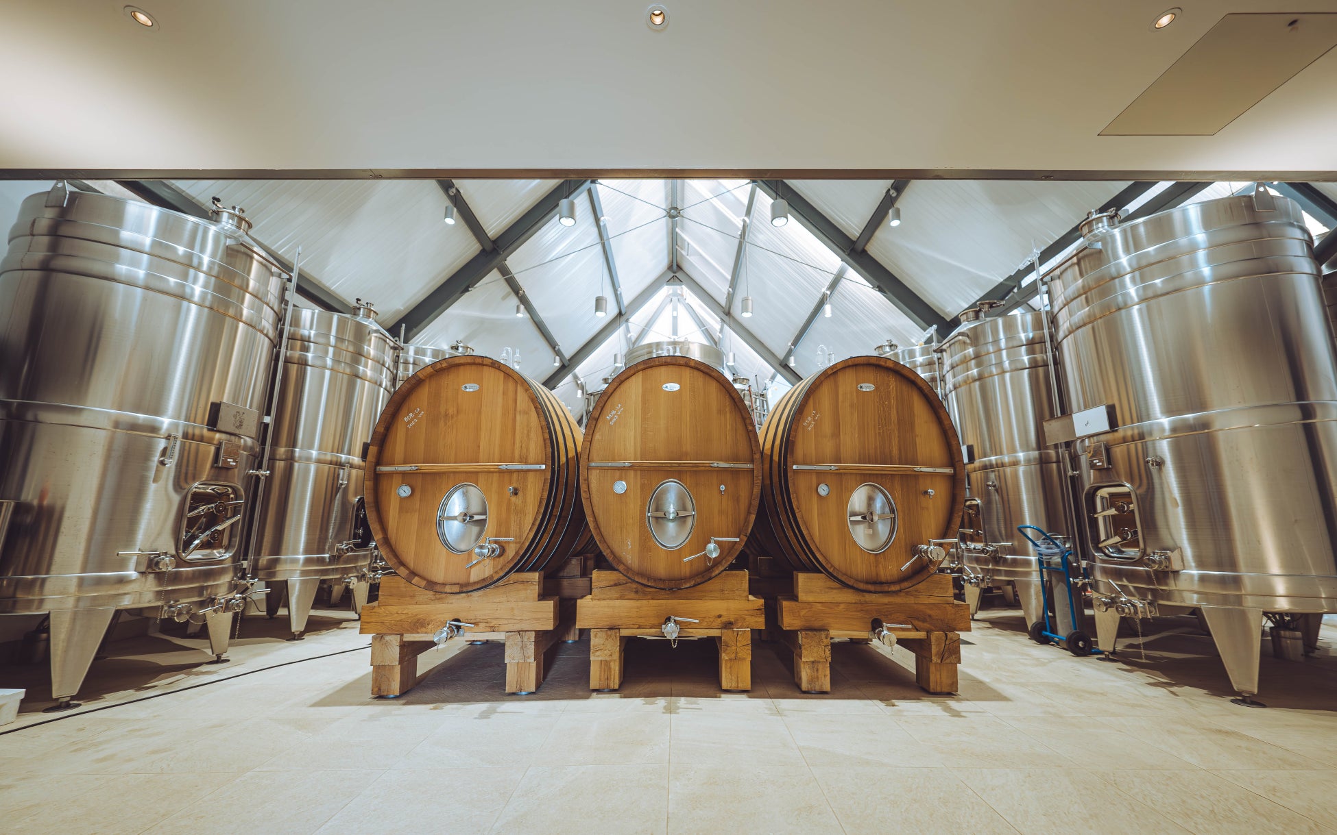 “アサイー”をひんやりと楽しむ、フローズンスイーツ「フローズンカップ アサイーヨーグルトテイスト」を5月28日（水）より発売