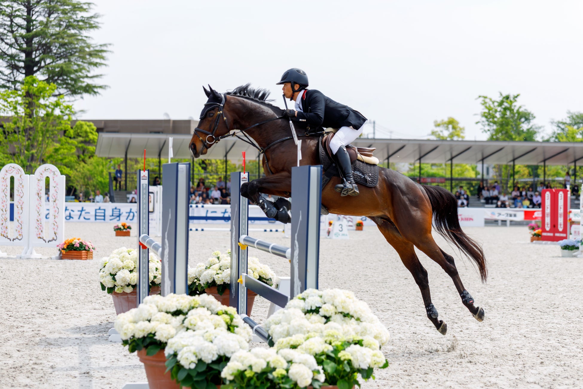 「TOPVALU(トップバリュ)」「セブンプレミアム」「みなさまのお墨付き」のイメージは？ブランドコンセプトと消費者イメージの違いを徹底調査！