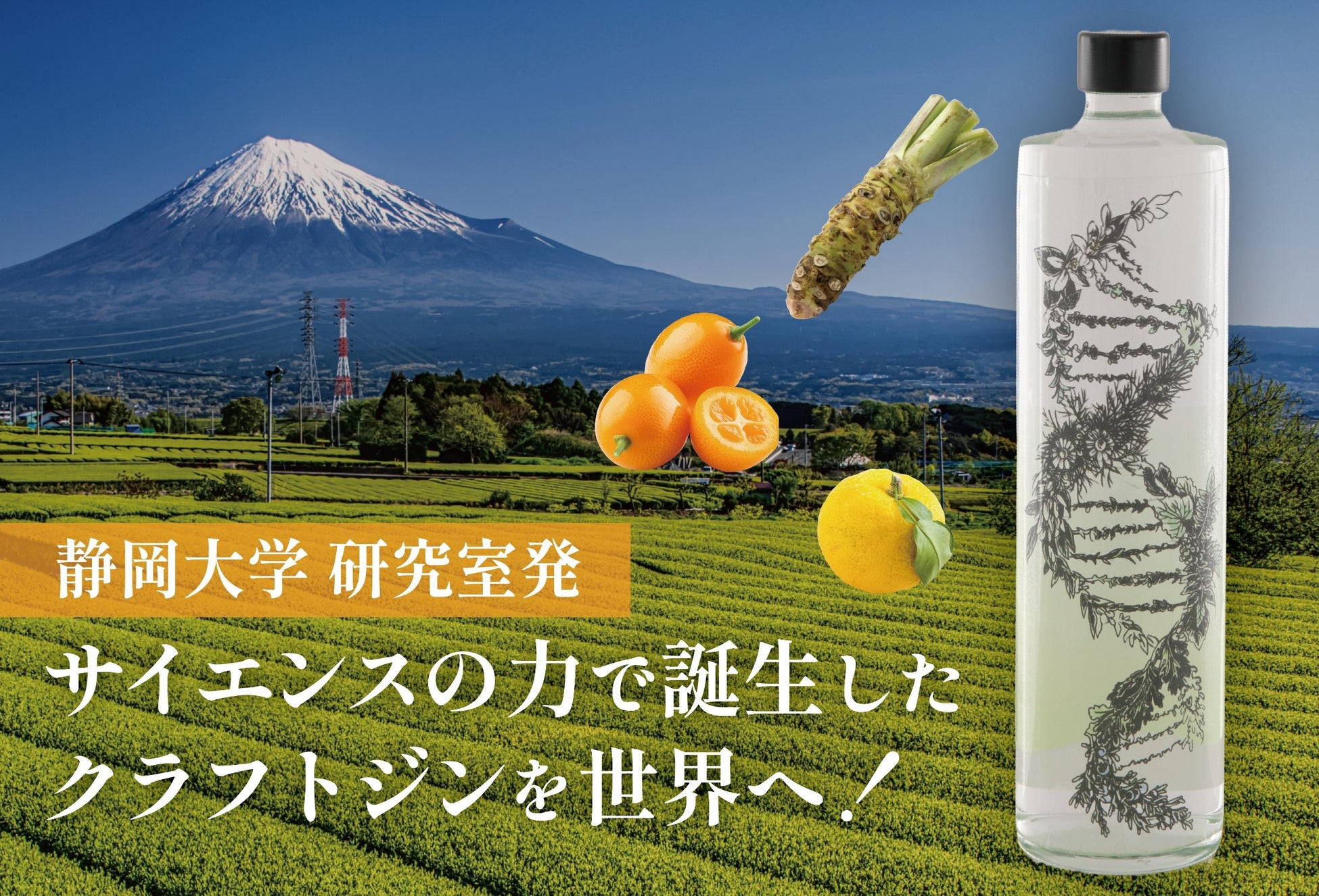 「トイズチャンネル」が初の居酒屋イベント『酒もみんなも愛してる♡ ~トイズ生誕祭2025~』を開催いたします。