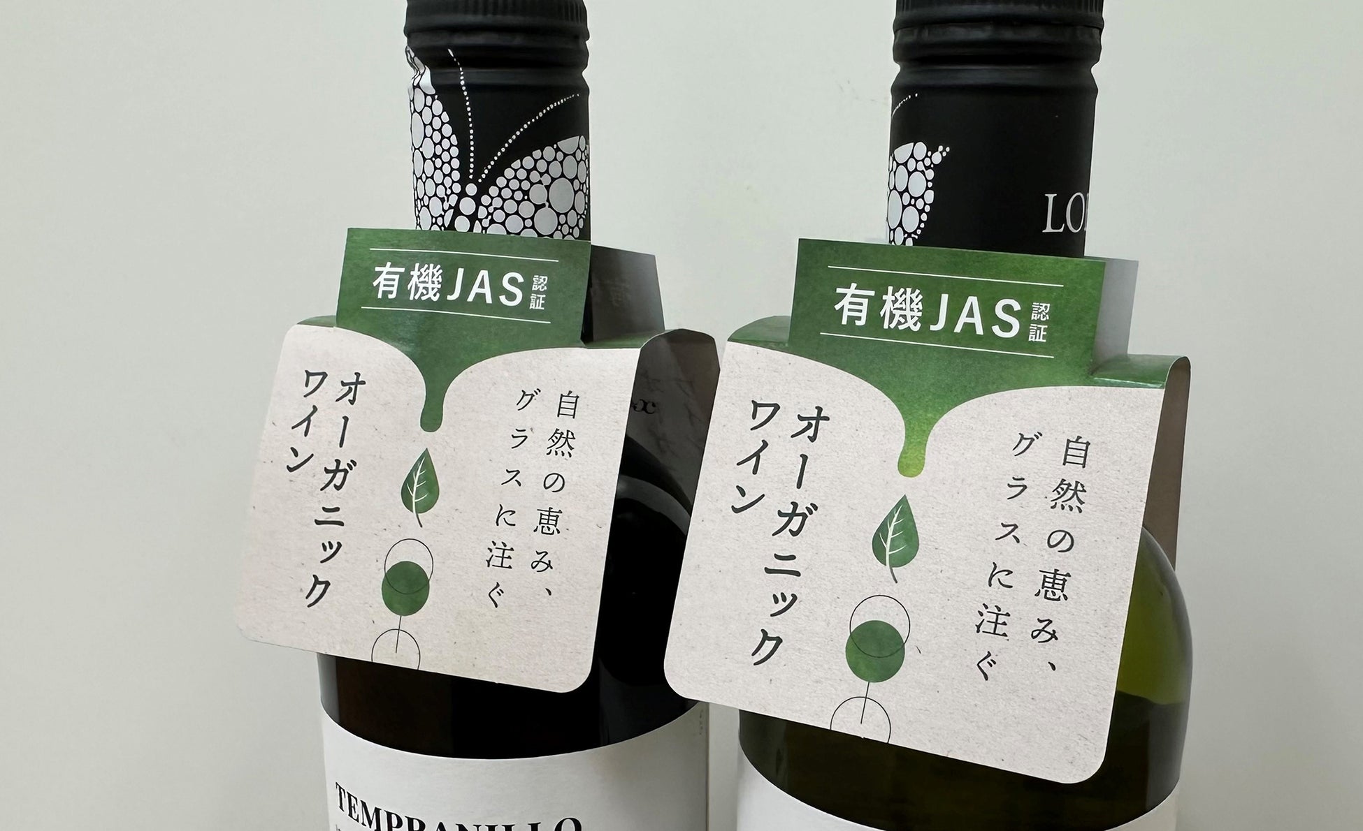 夏の暑さを癒す!トロピカルフルーツの甘酸っぱい味わいに魅了されるスイーツ。【ネコシェフ】から「ネコシェフバーガー(マスカルポーネ&トロピカルフルーツ)」を発売!