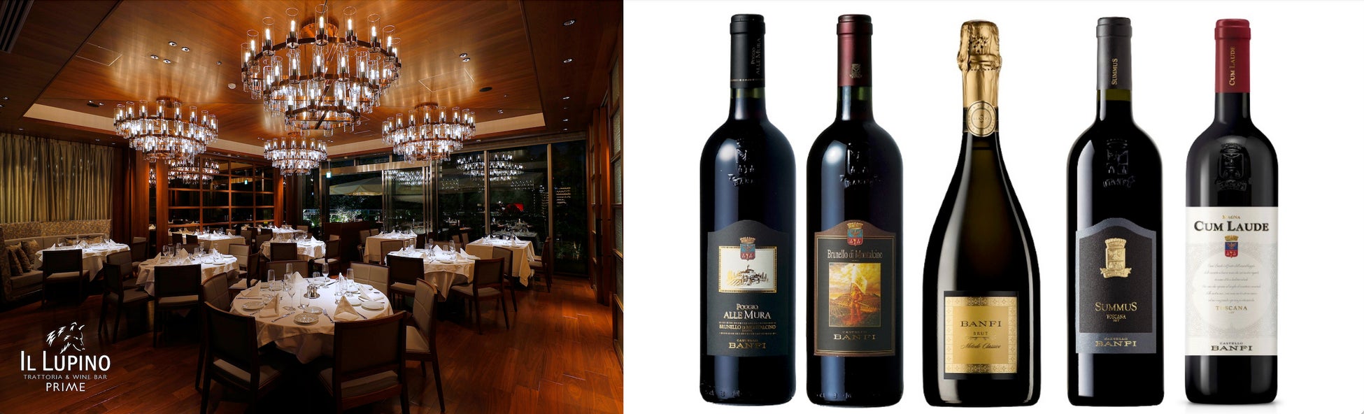 ミシュランガイド2025年5月の先行公開東京のおすすめ飲食店・レストラン10軒を新規ご紹介