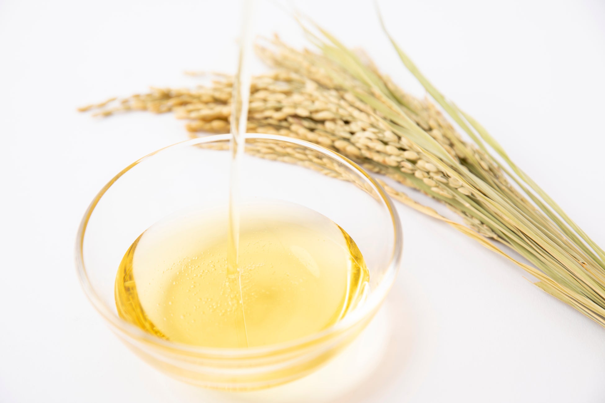 アサヒ飲料・かんでんエルファーム・関西電力共催「自然の恵みを五感で体験する1日ツアー」の参加者を5月23日から募集開始