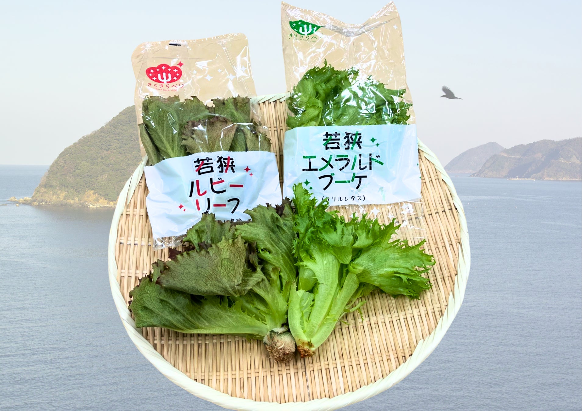 鹿児島・天文館に“食のごちそう”新名所が誕生!地元食材を贅沢に使った「ごちそうホットドッグ」と“食べるバスク”濃厚チーズケーキの専門店