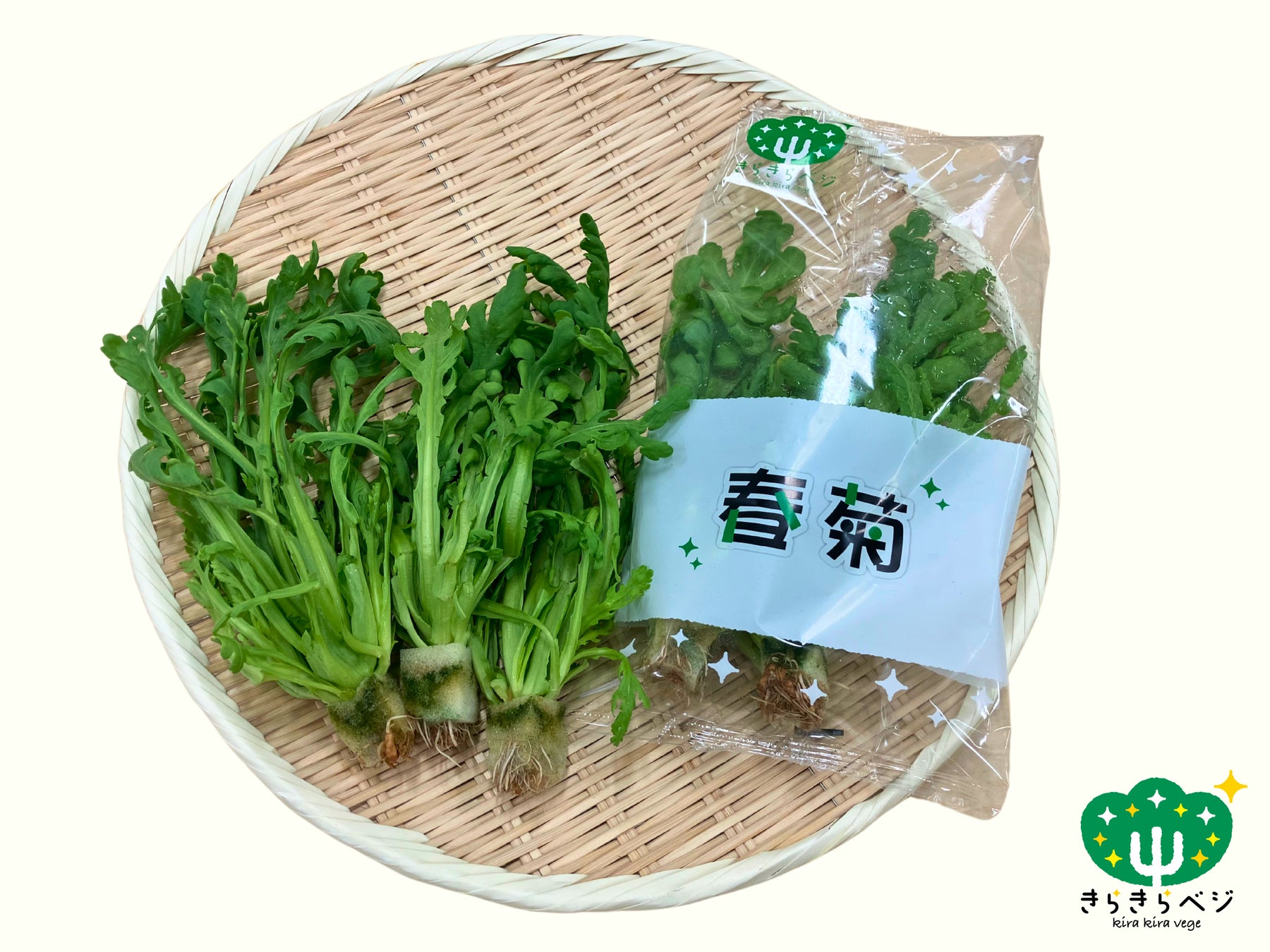 きらきらベジ新商品発売のお知らせ「若狭エメラルドブーケ・若狭ルビーリーフ」～猛暑に負けずに安定供給！～