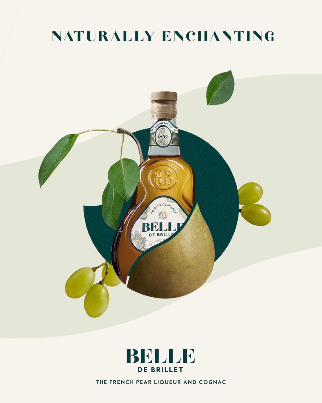 世界初。「チキンラーメン」のたまごをきれいに白くする革新的ガジェット「しろたまメイカー」を開発