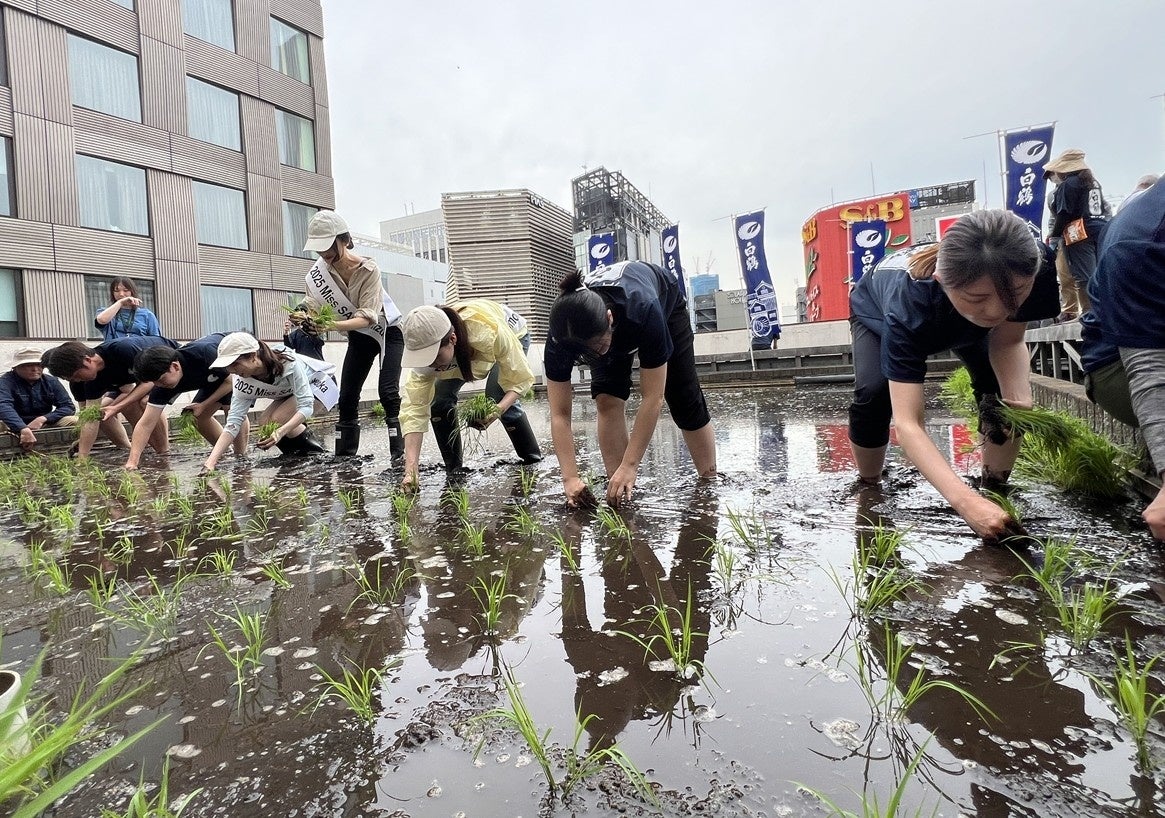 ぷちぷち食感に低カロリー、55種類の栄養素で注目のスーパーフード「海ぶどう」。沖縄発！「海ん道～uminchi～」が人気メニューのフランチャイズを開始