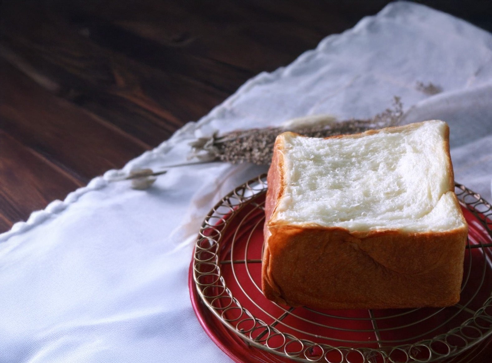 彩り豊かな夏の味覚を、ワインとご一緒に！ワインビュッフェ「ESOLA」6月4日（水）より夏季限定メニューが登場