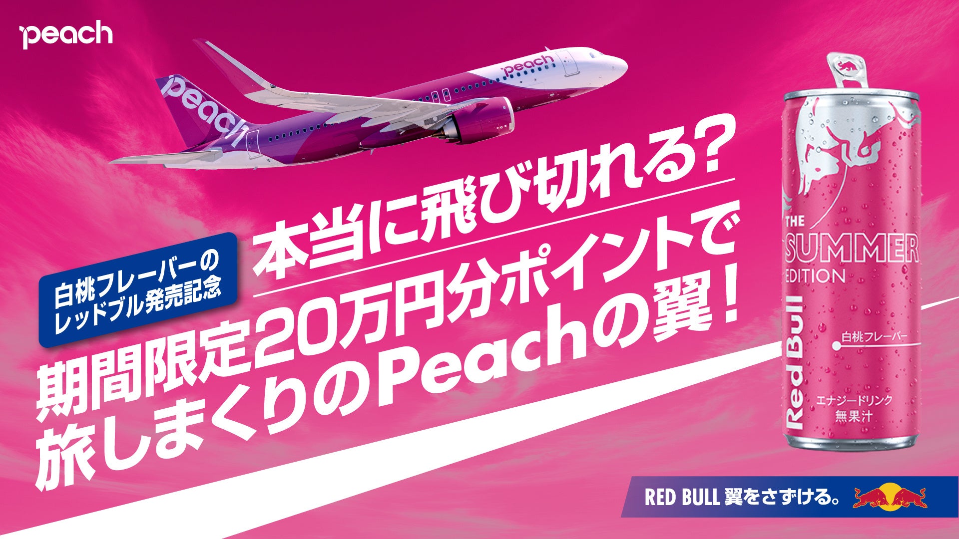 暑い夏にぴったり！だし薫る涼を彩る期間限定メニュー 「大葉香るモロヘイヤうどん」「しらすと枝豆の炊き込みご飯」など5品 「日本橋だし場 はなれ」にて6月2日新発売