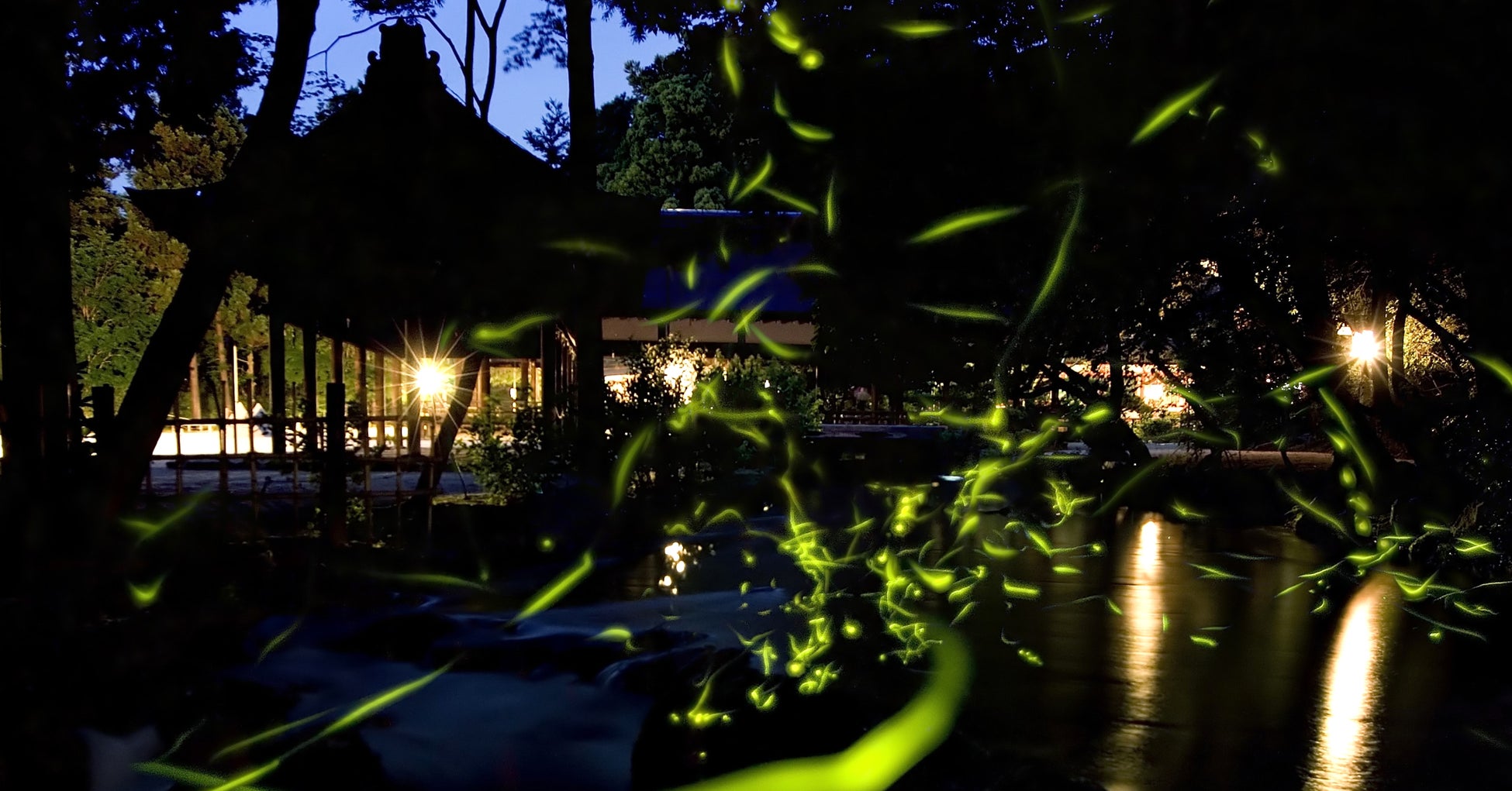 夏の光に照らされて。果実の爽やかな美味しさが輝くひと時。MILLE-FEUILLE MAISON FRANCAIS（ミルフィユメゾンフランセ）より「ミルフィユ セゾン レモン&フランボワーズ」を発売！