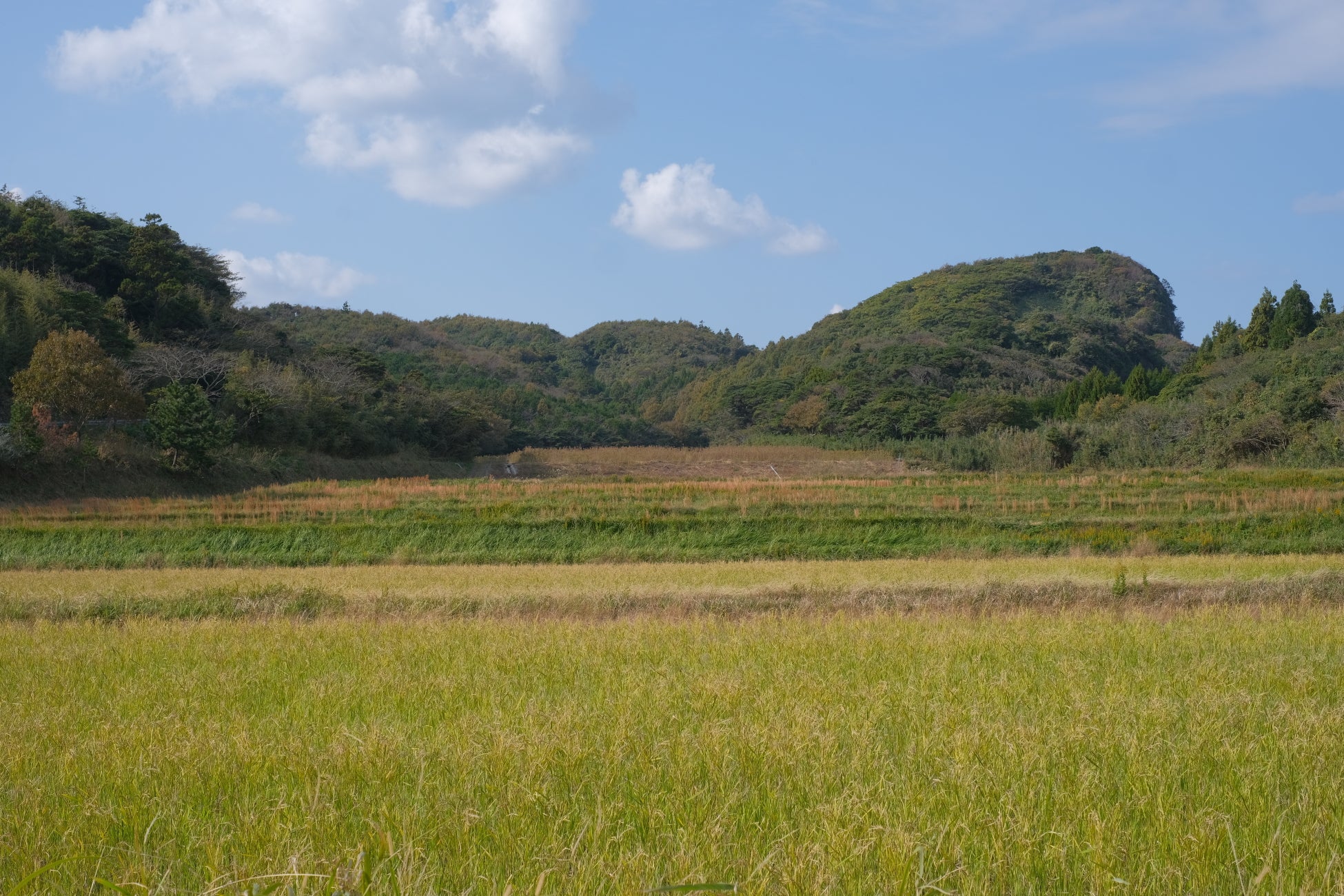 ベルギー王室御用達チョコレートブランド「ヴィタメール」6月1日(日)より夏期間限定ケーキを販売いたします