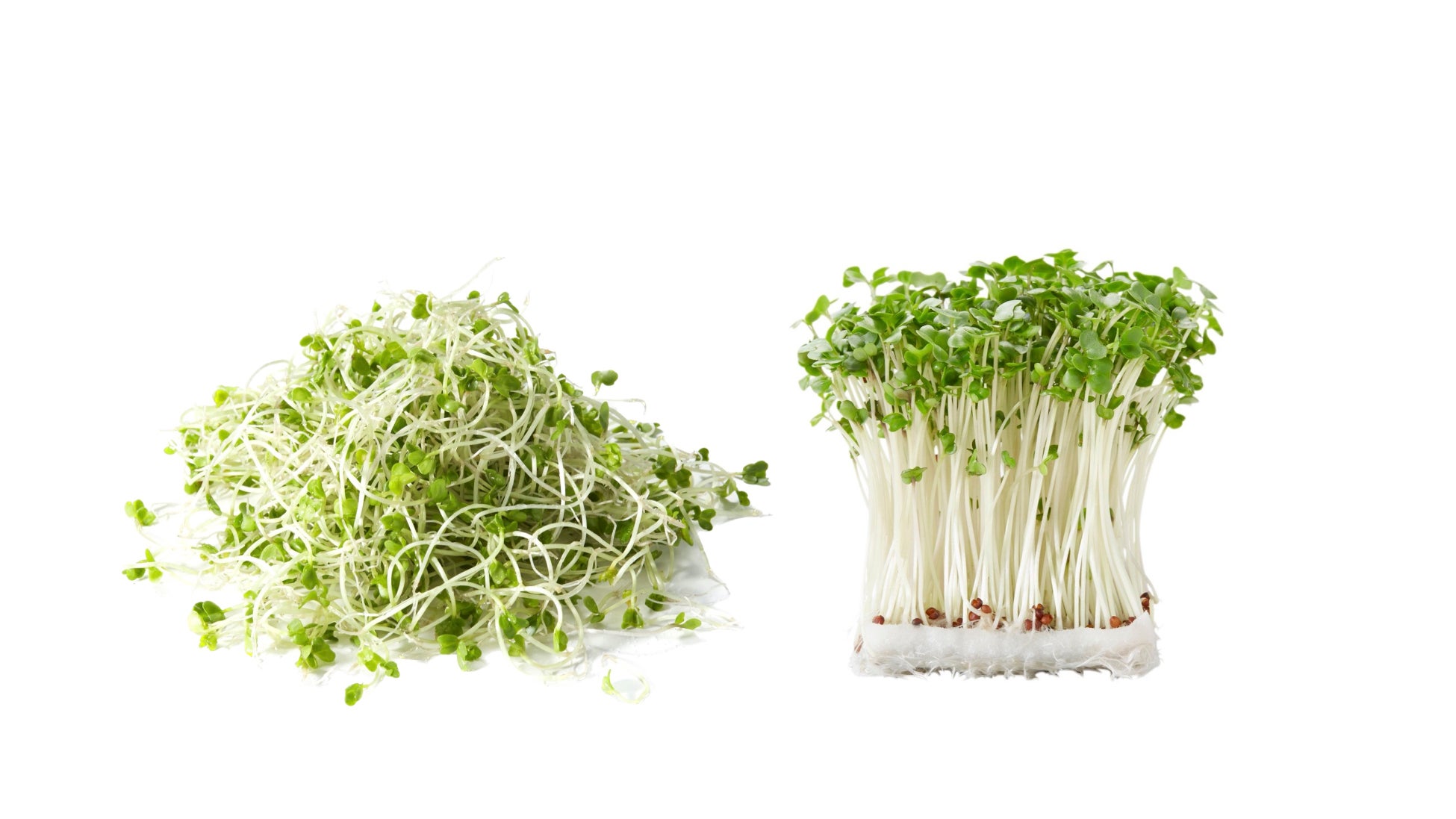 【DOLLIE】「宝石ピクルス」山口県下関市のふるさと納税返礼品に登場！