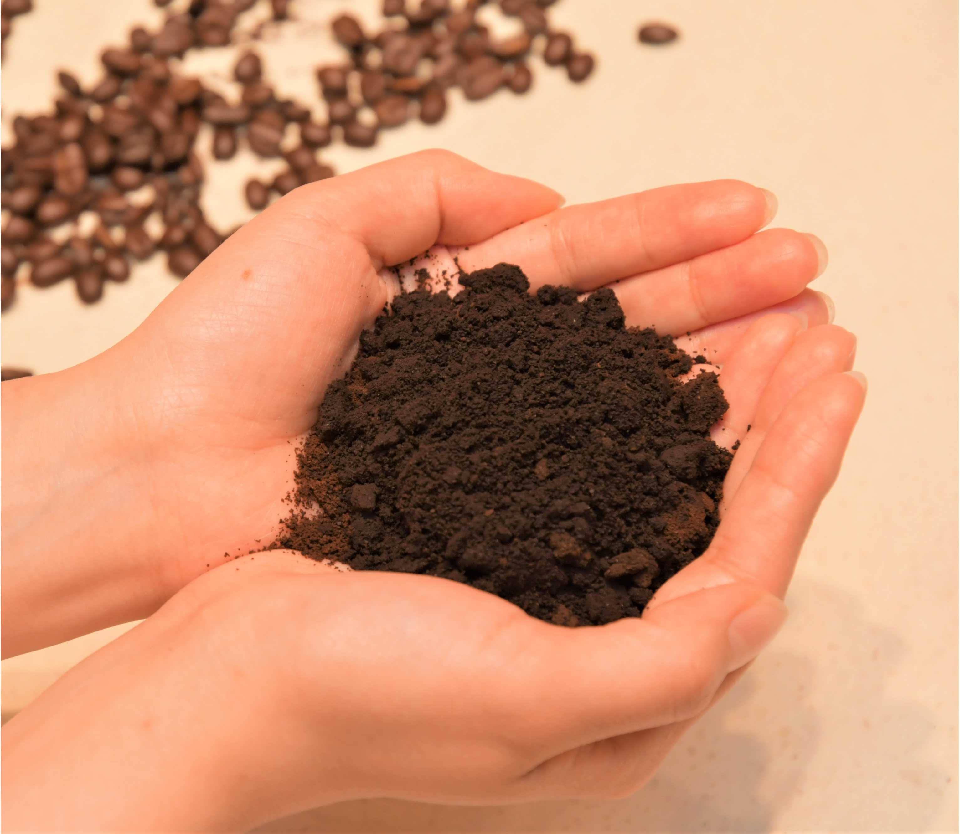 6月1日「牛乳の日」より、常温保存も可能なA2牛乳「MORIYAMA A2北海道のおいしい牛乳」を全国にて順次販売開始