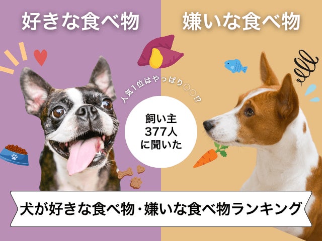 小学生が企画開発する「夢のレトルトカレー」ニシキヤキッチン「学校のカレープロジェクト」が2025年も始動