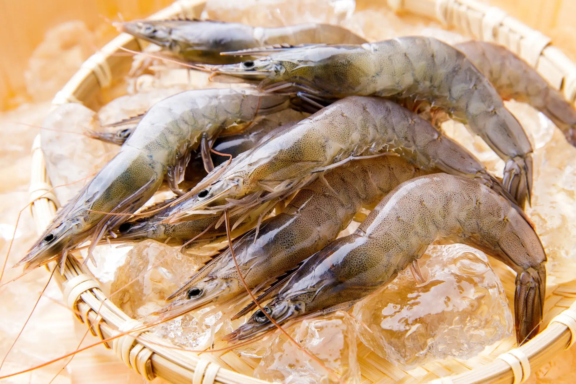 【大阪ステーションホテル】７月限定　みずみずしい翡翠色が映えるメロンアフタヌーンティー開催