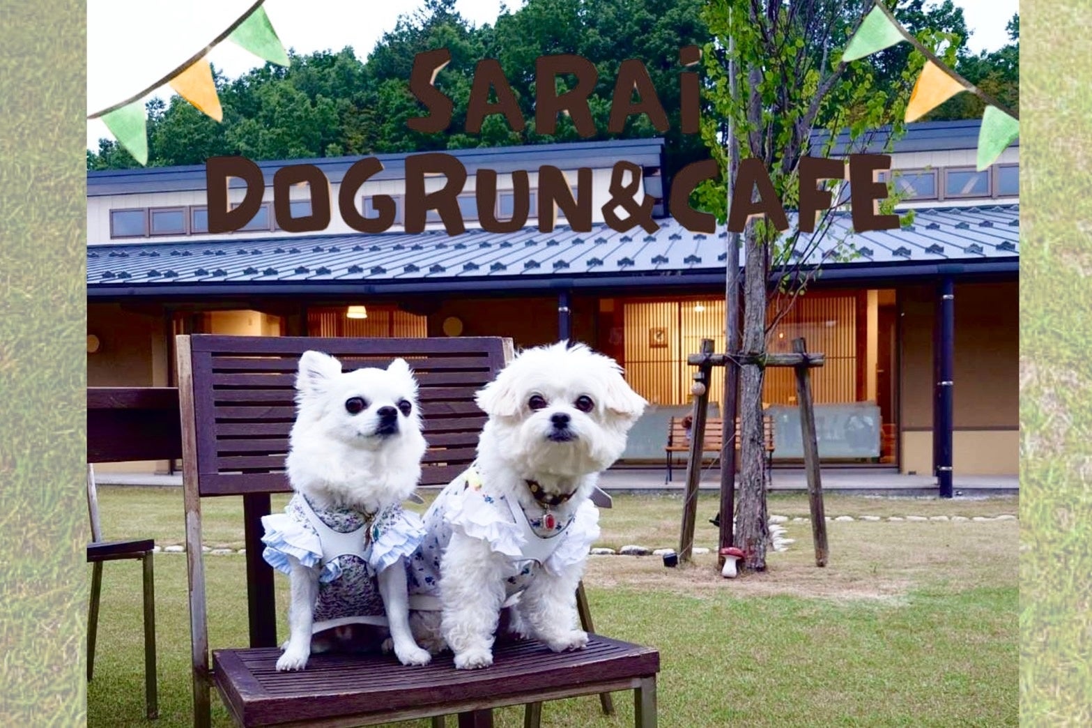 ≪お持ち帰り限定≫今年の 土用の 丑の日は 二度楽しめる「うまやの極上うな重」今年も数量限定で登場！5月 29 日（木） より WEB 予約受付開始