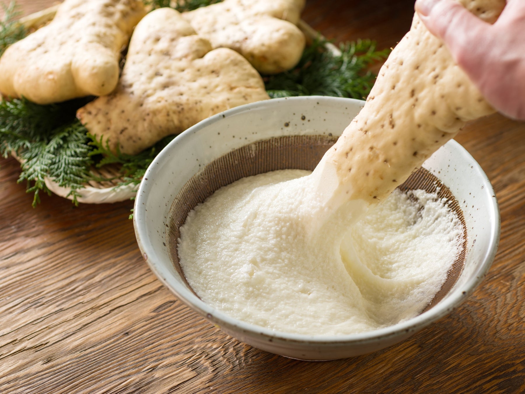 【オイシーズ】7月24日（木）開業の「豊洲セイルパーク」に、「中華そば専門 田中そば店」を出店！