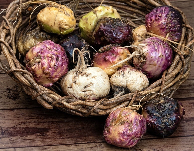 カルビー×S’UIMIN　共同研究　～プレバイオティクスを含むグラノーラの摂食が、睡眠の質とストレスを改善する～