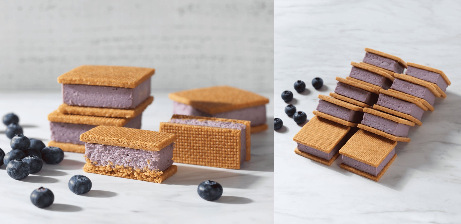 三浦半島最大級「横須賀朝市Morning Market」5月24日（土）いちご よこすかポートマーケットにて開催