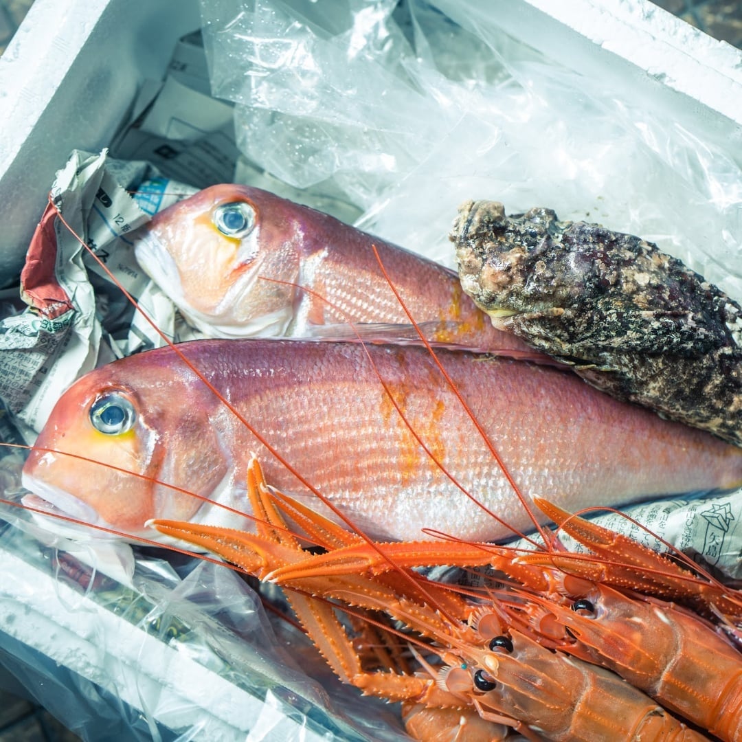 anoさんが『アサヒ 十六茶』をかけて「フラフープチャレンジ！」！記録は「40回」で差し入れGET 「汗をかいた後は一段とおいしい」と笑顔