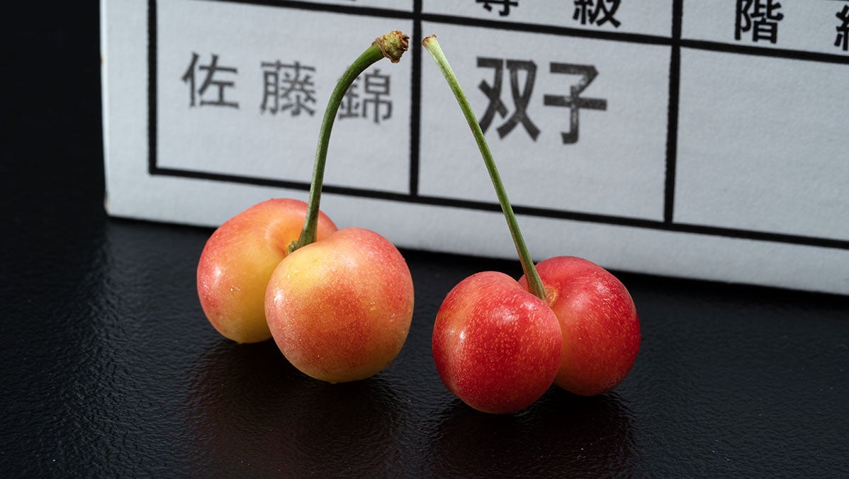 【千葉県主催】【千葉県内事業者・生産者対象】ちばのキラリ 特別企画「麺場 田所商店／房総ラーメン制作プロジェクト」＆「房の駅／パートナー」同時募集開始！