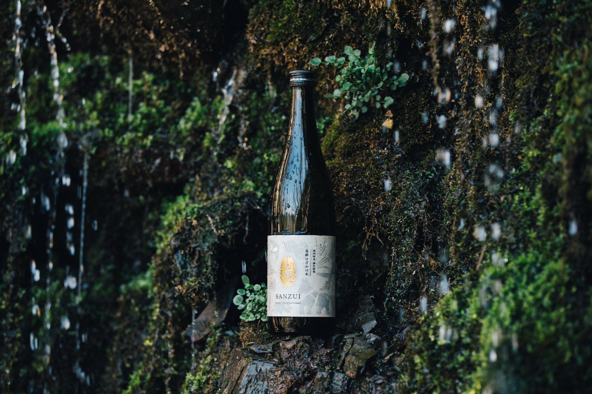 【高知大丸】地元で愛される名物、話題のスイーツがずらり★旅の醍醐味・グルメ探訪を一堂に楽しめる「全国ご当地 味めぐり」開催です!