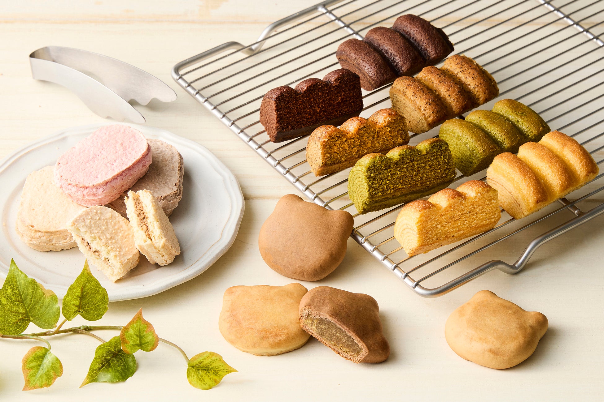 食品自動機械のコバード「FOOMA JAPAN 2025」に最新機器を出展