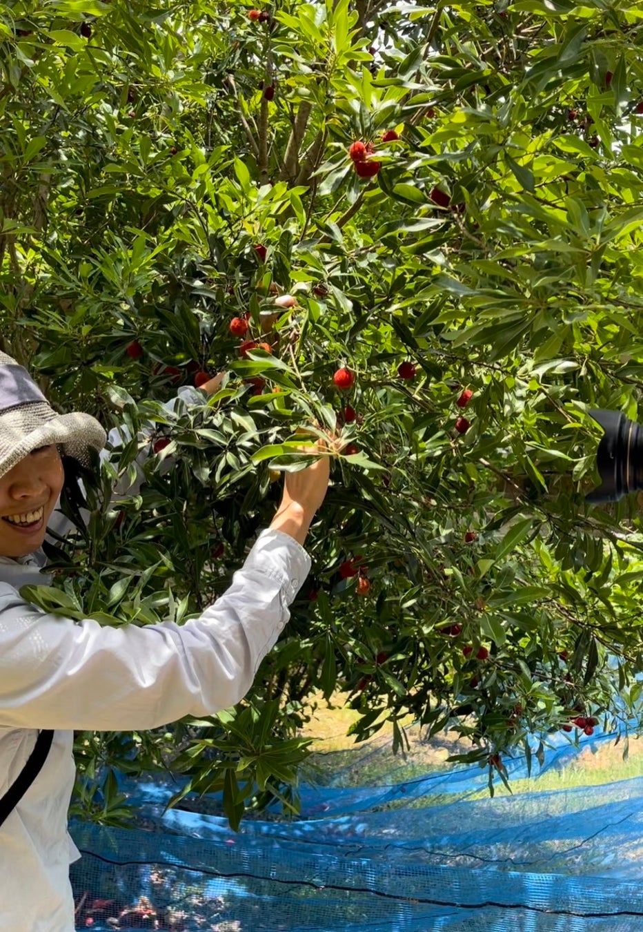 サクセス!復刻決定!!シンサンボアカレー〈復刻版〉めでたく目標達成