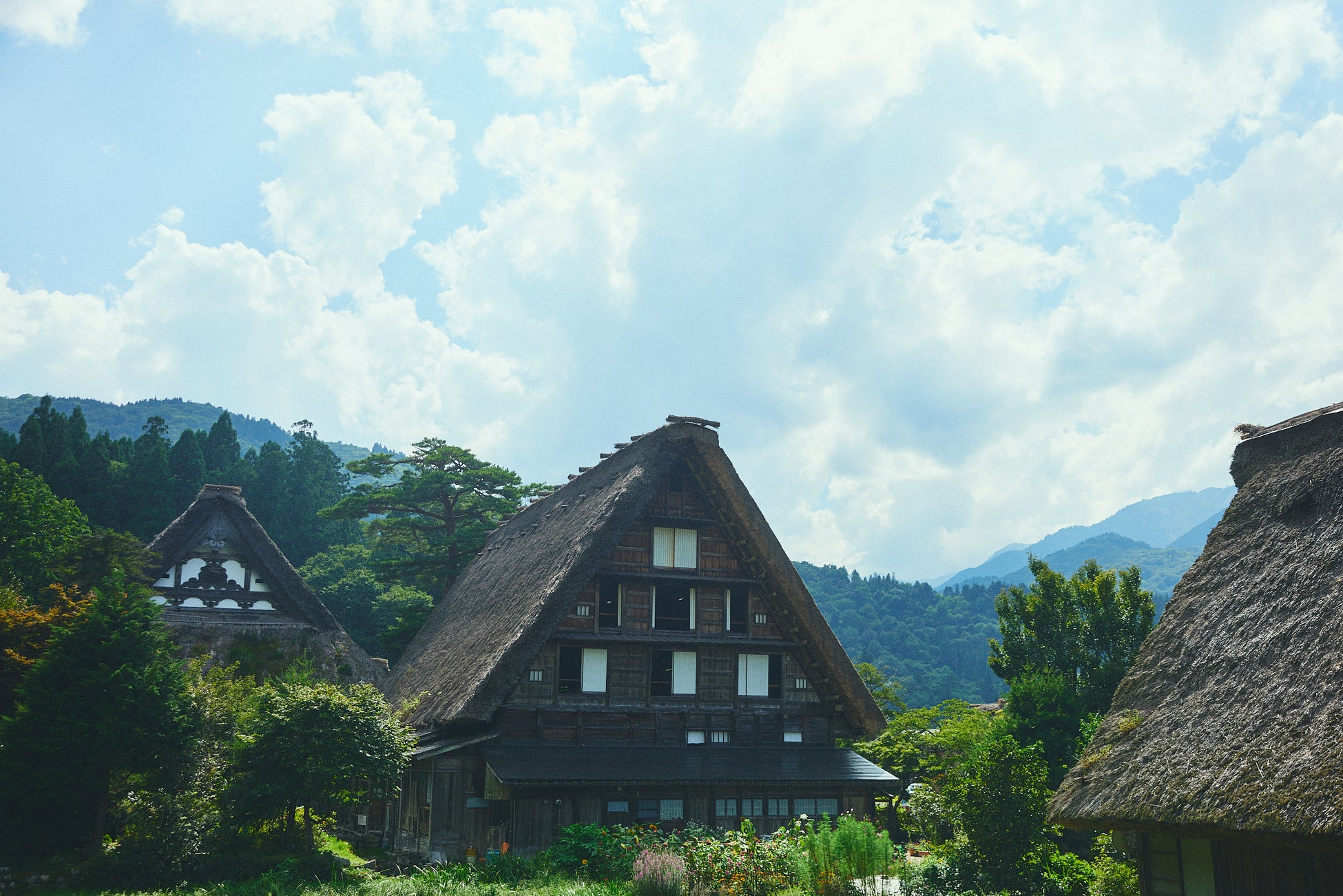 飲むだけで社会貢献に！6/12より“三陸応援ドリンク(椿＆ゆずリキュール)”を提供スタート