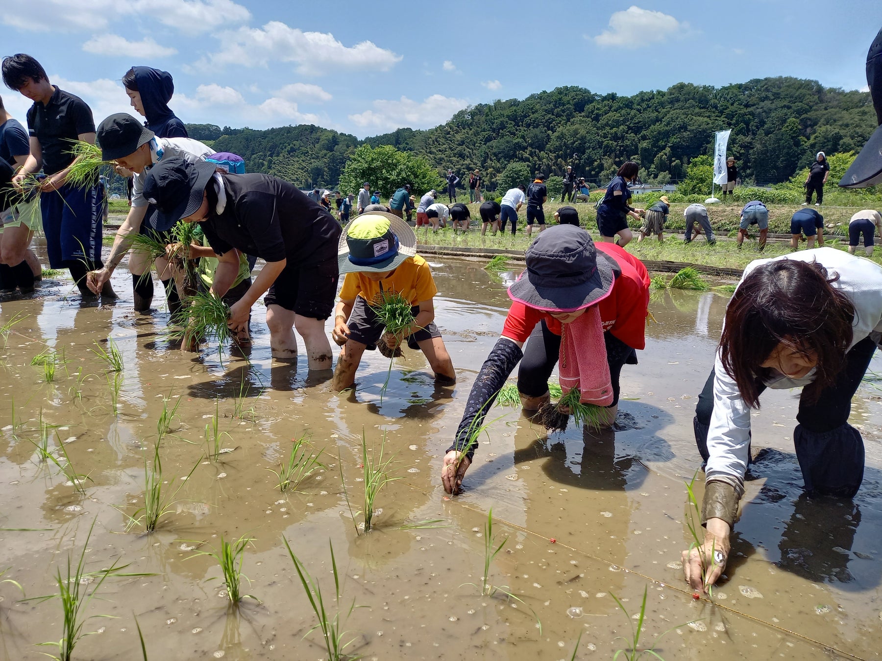 ふわふわパンケーキの『MICASADECO』が新たに手掛ける、五感で楽しむ「ふわふわかき氷」が登場！