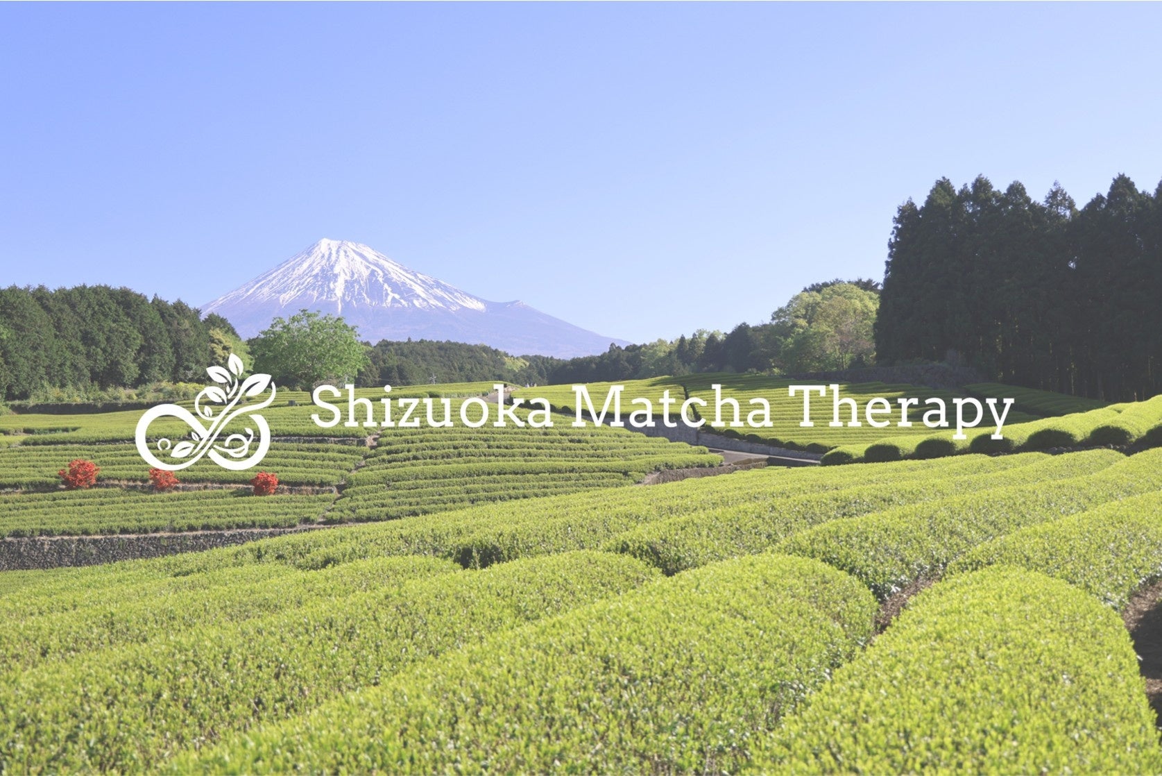 赤城乳業のソフトクリーム「Sof’(ソフ)」、初のサンプリングイベントを開催!! 6月7日(土)桜木町駅前広場(横浜)で1万個の工場直送品を無料配布!!