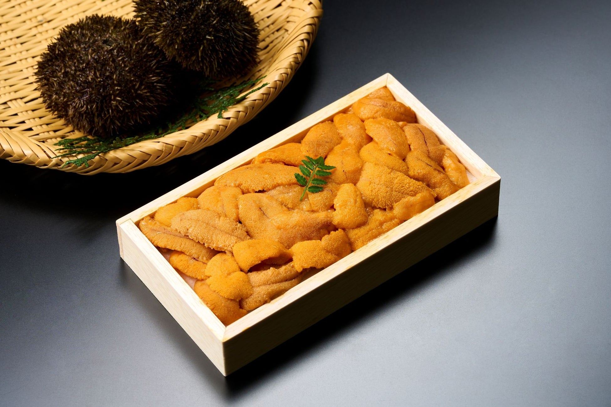 年に一度のパンの祭典『世田谷パン祭り2025』2025年11月1日（土）、2日（日）開催決定