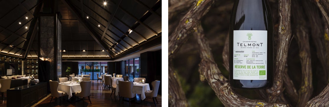 國酒フェアで初披露！！本格焼酎・泡盛カクテルの新たな魅力とは！！？2025年6月14日（土）～15日（土）／大阪・ATCホールにて