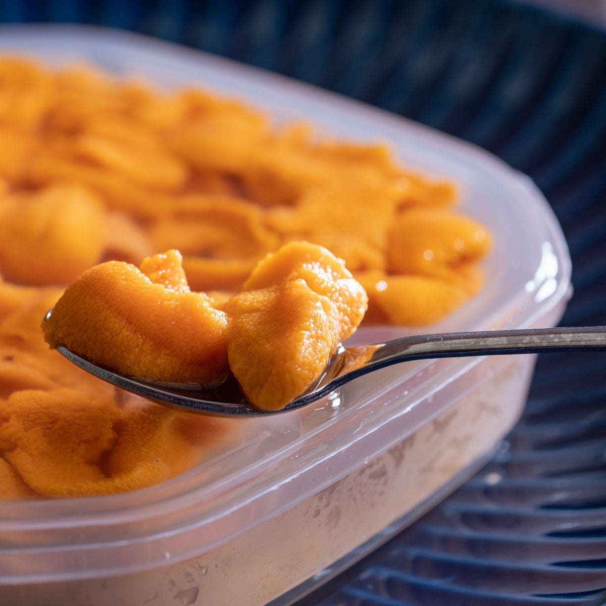 【コープみらい】2024年度経営実績・2025年度予算・役員体制の報告