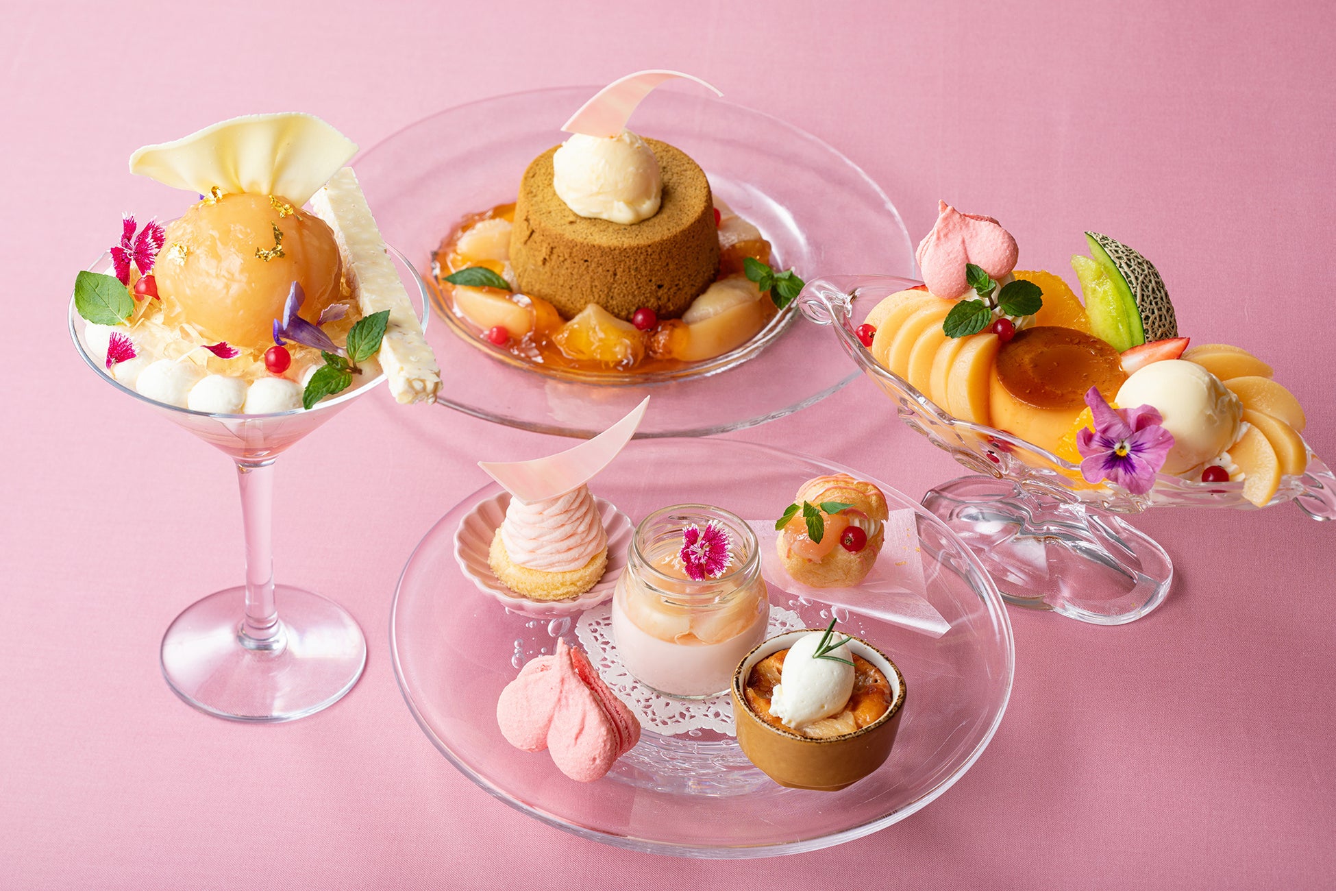 十四代が飲み放題？！【超豪華希少酒付き飲み放題 ¥5,000】十四代、而今、新政、飛露喜、獺祭など希少酒含む日本酒35種・ビール・ハイボール、サワーも！！｜ 6月限定 ｜涛司（とうじ）大船店