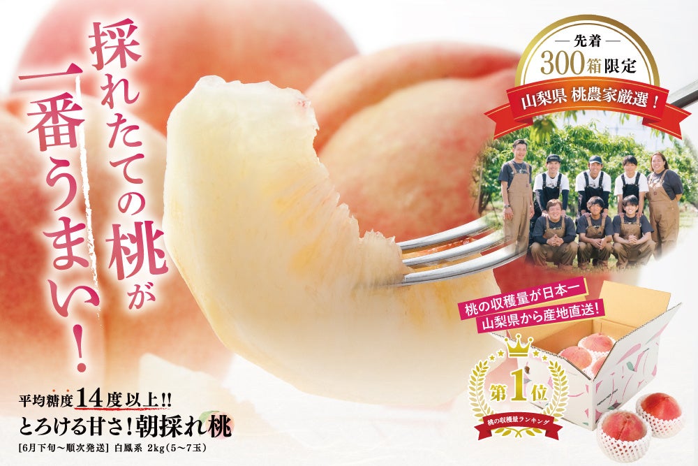 Valuence INFINITIES × UMAMI BURGER 期間限定コラボメニューを6月19日から有明ガーデン店で販売決定！