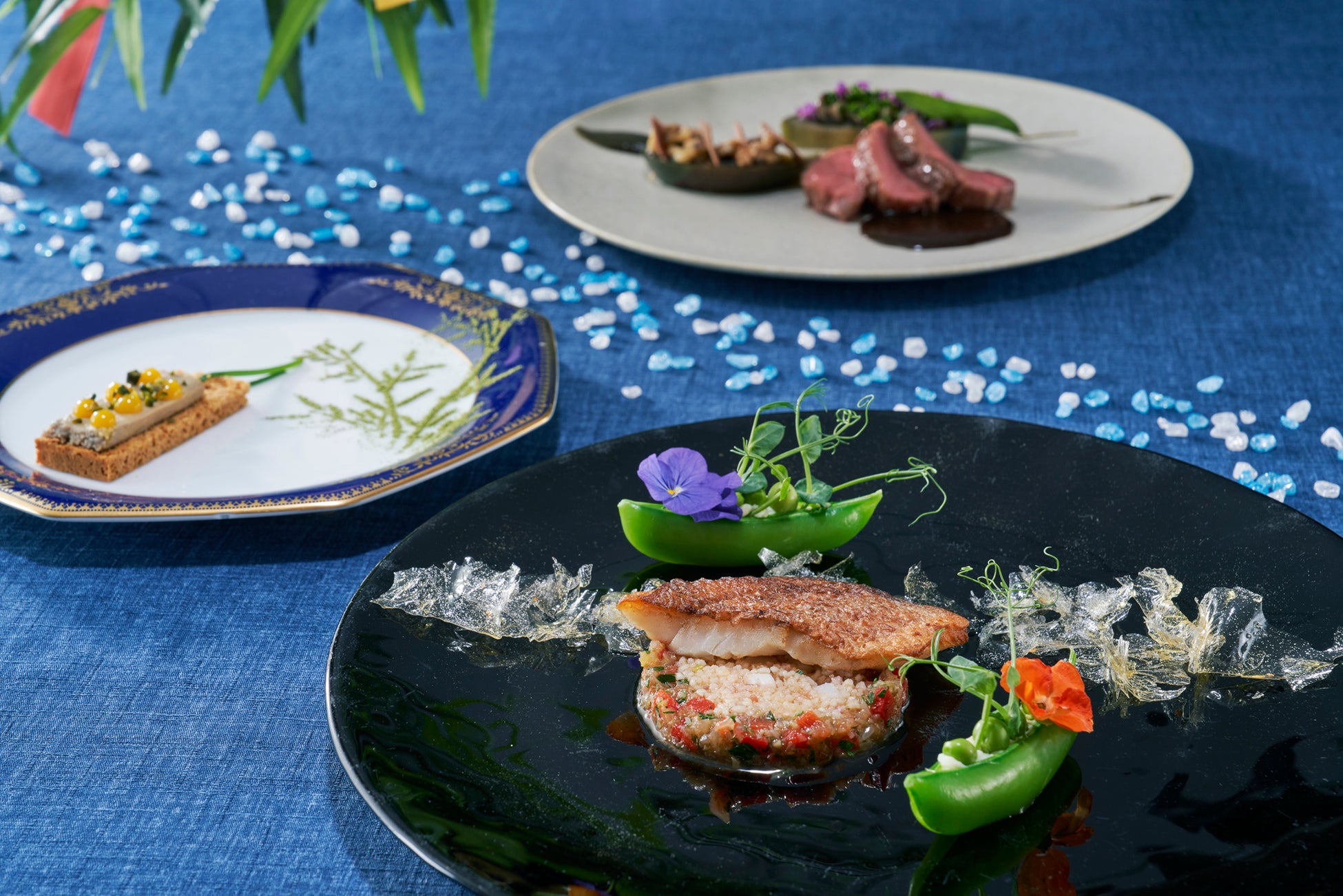 【大阪 堀江に移転リニューアル!リバーサイドで風雅にくつろぐランチのひと時】延べ100万人来店の鮨和食『堀江 燈花』が6月10日(火) に移転オープン!