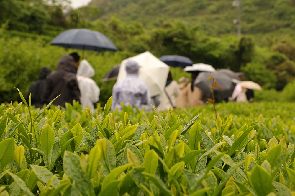 バドワイザー、FIFAクラブワールドカップ2025(TM)限定キャンペーンを6月15日（日）より開催