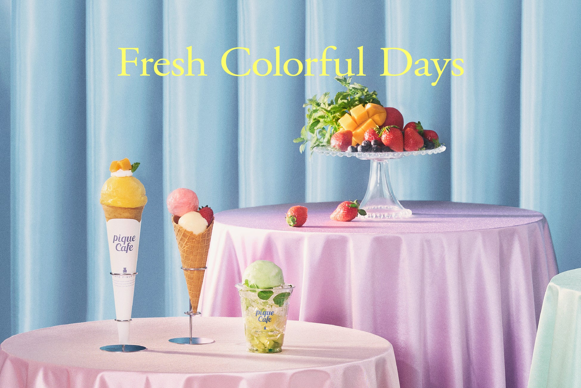 【イベントレポート】べにふうきの一番茶を使った製茶体験イベント「静岡・丸子で和紅茶づくり体験 2025年春－和紅茶を知って、つくって、味わう－」開催＜プレミアムティーショップnittoh.1909＞