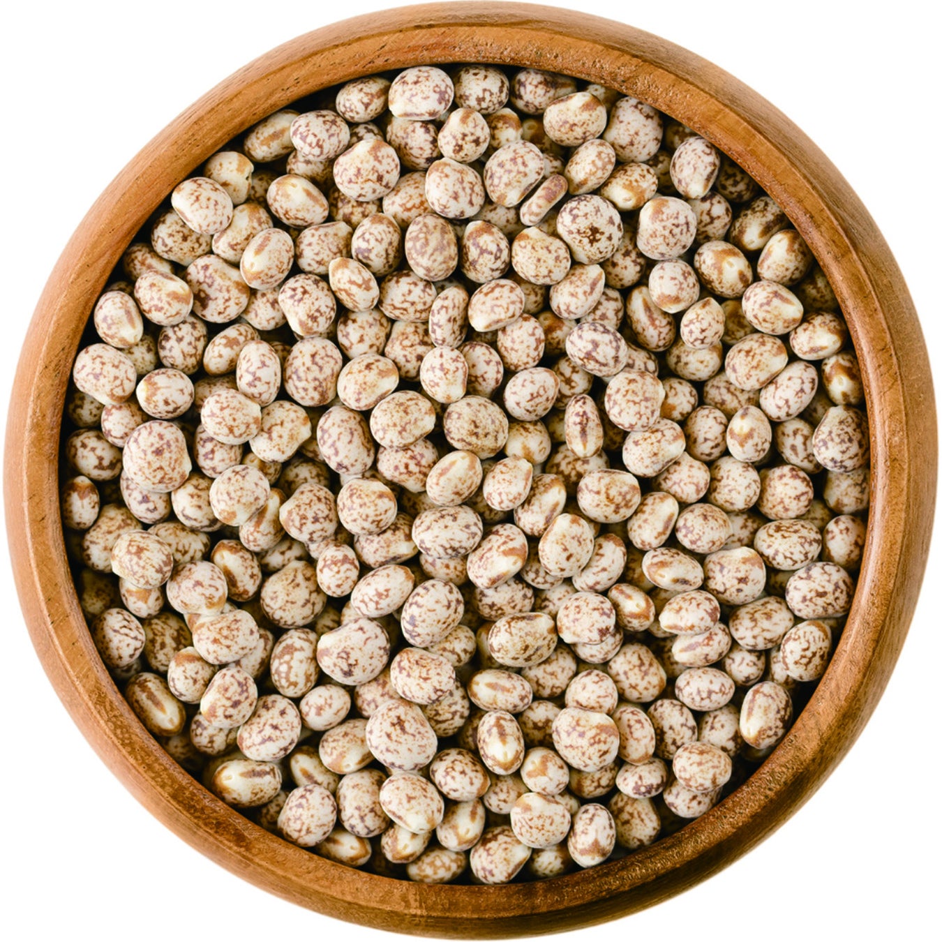 秩父湯元 秩父湯元 武甲温泉で、父の日に「お父さんへ美味しいアイスコーヒーを淹れて届けよう」ワークショップを開催します