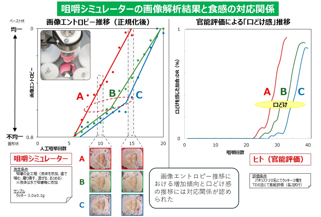 サンエイト貿易株式会社(製菓製パン向け原材料輸入販売)がオリジナルブランド名を「SUN-EIGHT+(サンエイトプリュス)」に改変し始動!新商品第一弾アーモンド菓子を発売。早期受注キャンペーン実施中。