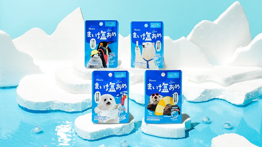 いか原料不足の今、「いか代替珍味」を新たに提案！魚肉すり身でつくる“いかそうめん風”と“さきいか風”新商品7/1発売