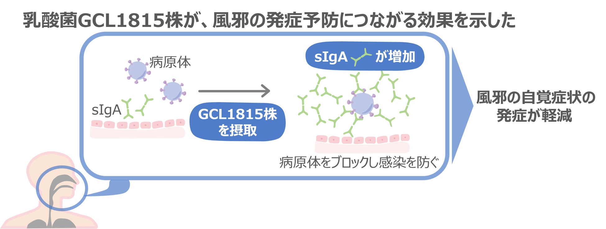 ジューシーなももとすっきりさわやかな味わいの白いサワーで夏を満喫「MOW(モウ) もも&白いサワー」 6月16日(月)より全国にて数量限定発売