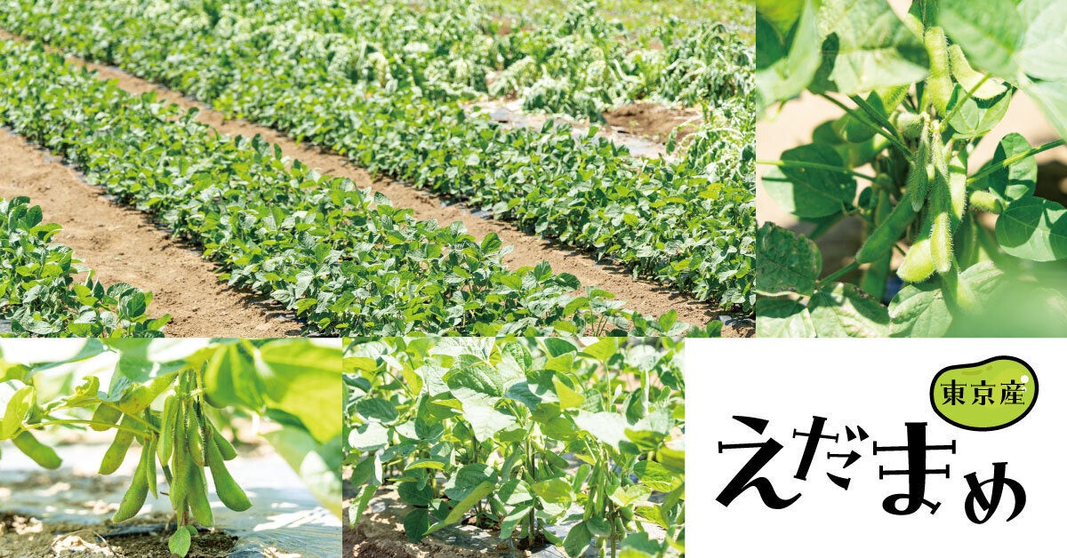 江頭2:50さん発案のアイスが2年ぶりに帰ってきた。 「ガツン、とみかん&パイン杏仁豆腐」復活！ 熱い抱擁を交わす、トレンディドラマ風CMも公開