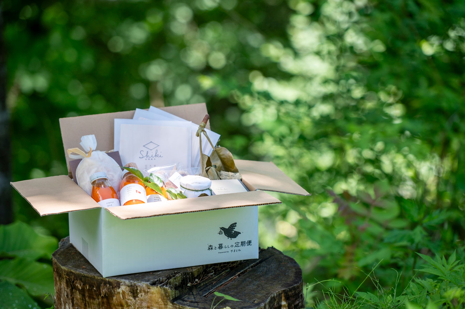 【木村屋總本年】ふなっしー地上降臨13周年記念！船橋東武でしか買えない「ふなっしーコラボFOODS」「ふなっしーあんぱん」を6月12日(木)～7月9日(水)の期間限定販売。