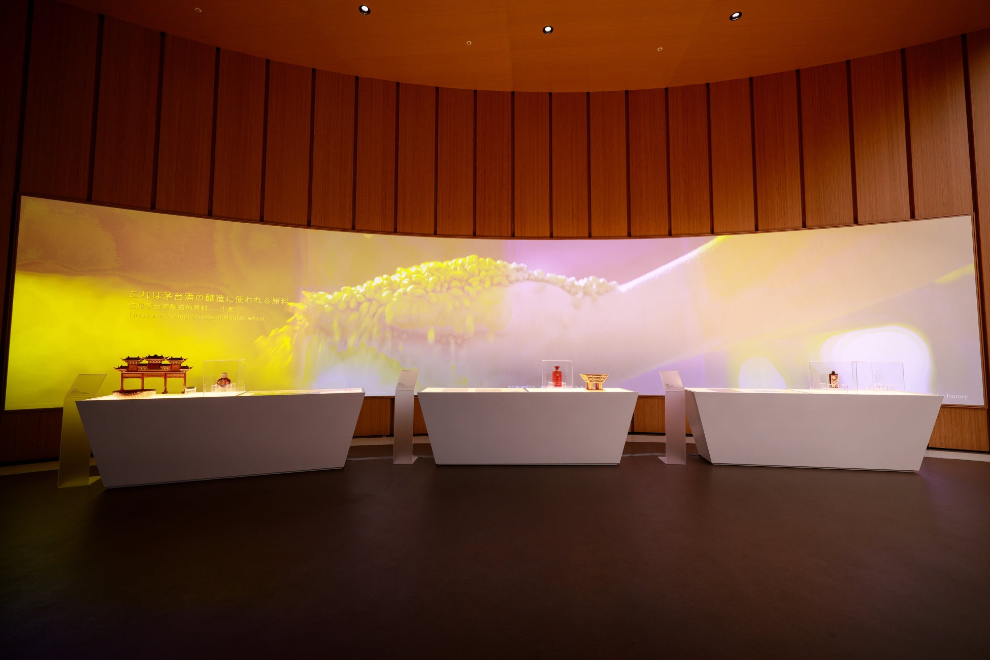 《豚丼屋TONTON》韓国・ソウル1号店オープン記念して韓国フェア開催！