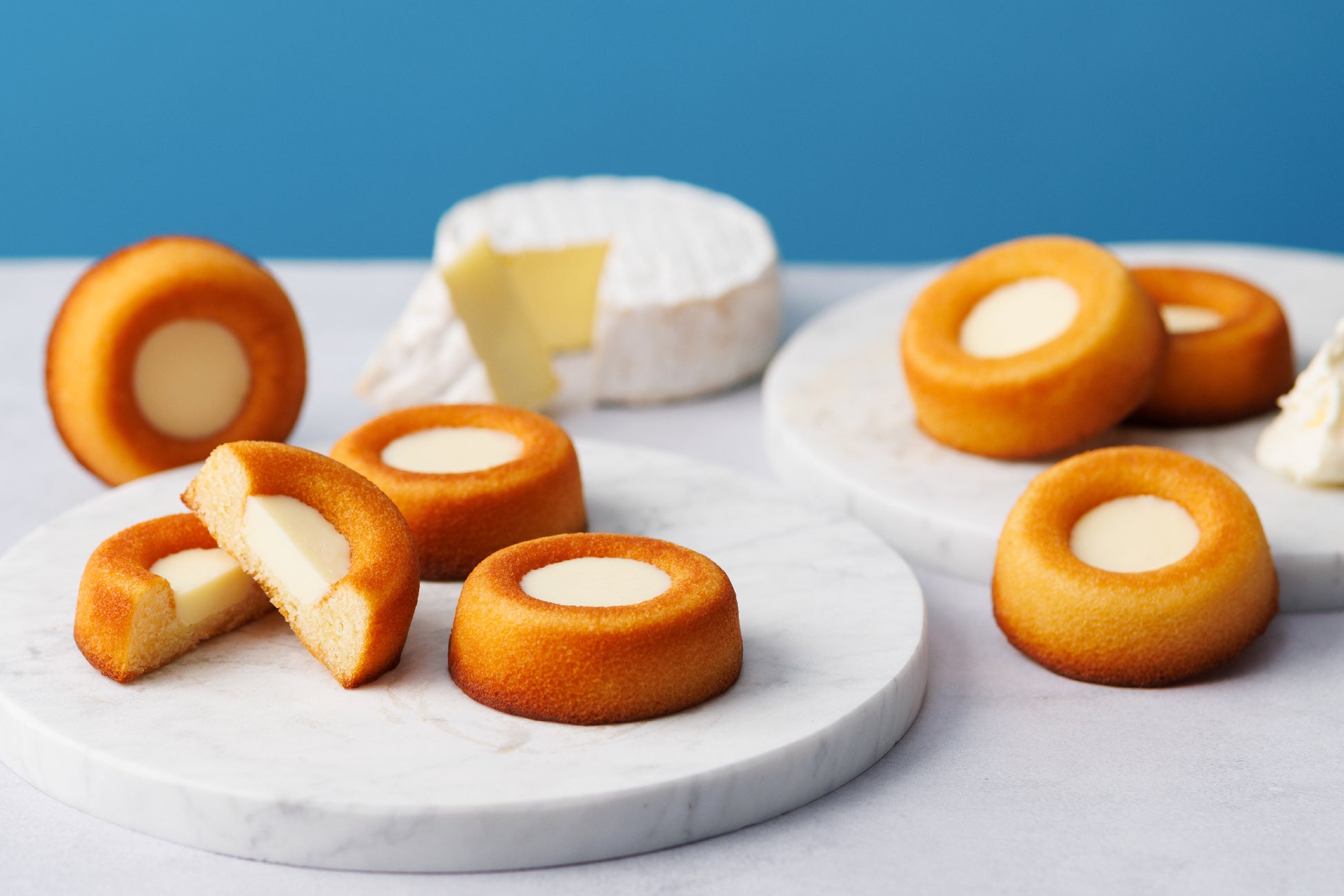 オートクチュールで造る、ブルゴーニュを知り尽くした新星 “エドゥアール・ドロネー” 新規取り扱い開始