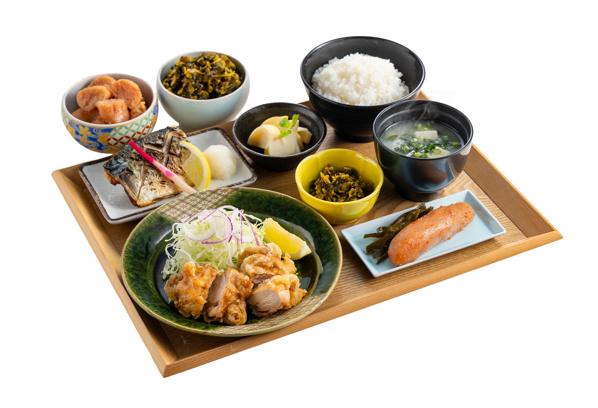 AOAO SAPPORO開業2周年イベント 第1弾!生態系から自然の美しさを感じる特別企画展「LIFE to LIFE〜小さないのちから、あなたの暮らしへ〜」を開催