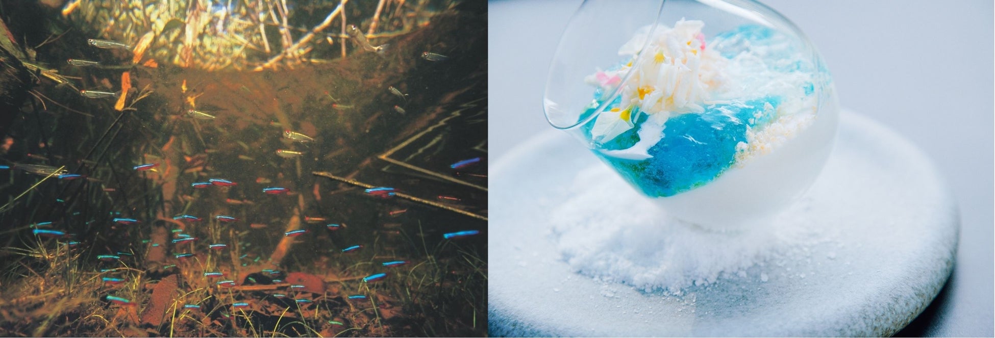 「メロン＆マンゴー」がW主演！王道グルメビュッフェに初夏スイーツ参戦！